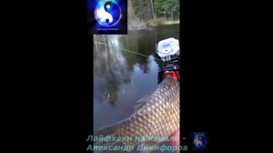 Рыбалка. Карась с камерой.