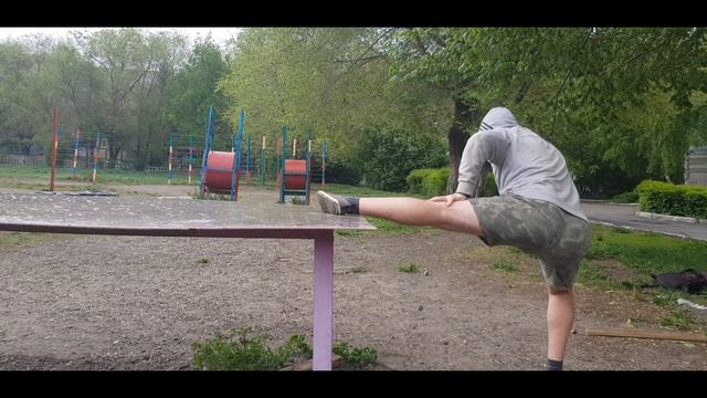 Самостоятельная тренировка на улице. Кекусинкай (Shinkyokushinkai) каратэ. Специальная разминка.