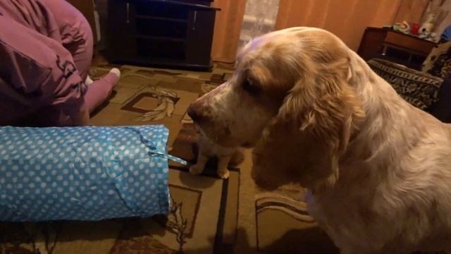 РАСПАКОВКА ПОСЫЛКИ ОТ ПОДПИСЧИЦЫ,КАКАЯ ОНА ТЯЖЁЛАЯ,ЧТО ВНУТРИ В КОРОБКЕ?ЧАСТЬ 1 смотреть онлайн