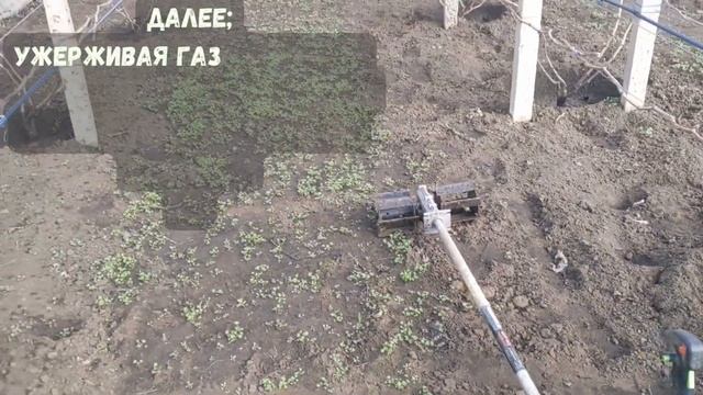 Борьба с сорняками на винограднике , Бензо-Тяпка