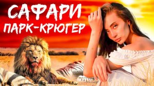 Лучший сафари парк Африки. Крюгер парк, ЮАР.