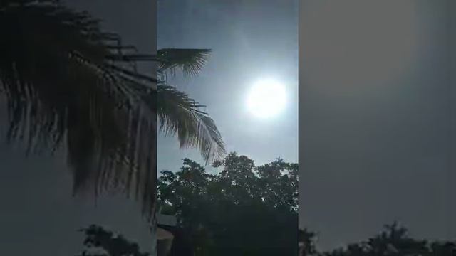 yo смотреть онлайн