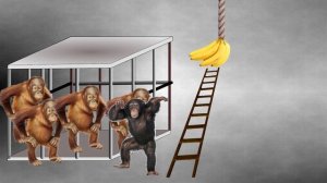 Эксперимент на обезьянах, который показал всю сущность людей
