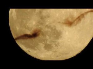 луна апрель2020, moon April2020