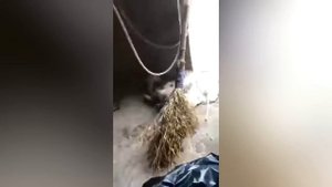 СХВАТКИ ДИКИХ ЖИВОТНЫХ СНЯТЫЕ НА КАМЕРУ! Драки Животных Не С Тем Оппонентом!