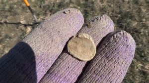 Монета за 1 700 000 р.? удельная чешуя? Коп в поле.