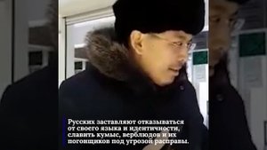 Казахи заставляют русских извиняться на камеру