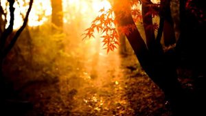 Слово АЛЛАХ  Откуда произошло???