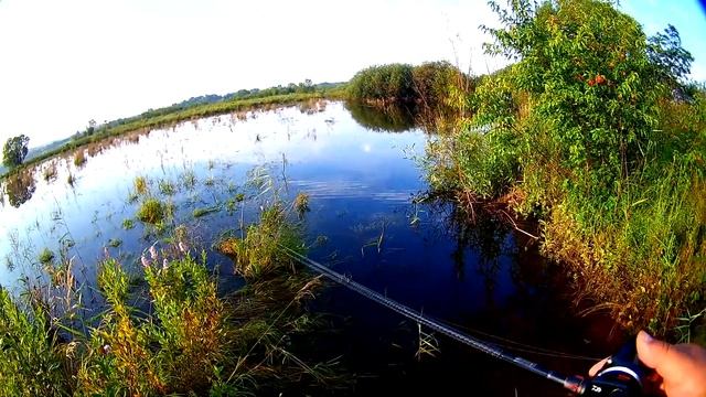 #Щука в траве. #колебалки и #незацепляйки