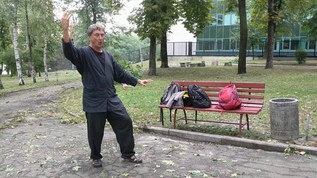 24 форма тайцзи Ян. Валерий Лозовой: нюансы. Часть первая. смотреть онлайн