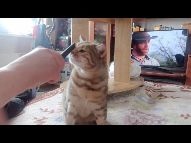 31 августа 2021 г. смотреть онлайн