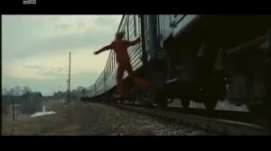 Путешествие с домашними животными