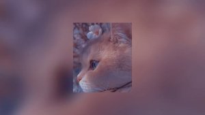 Jamie Duffy ~ Solas (Piano-Speed up)