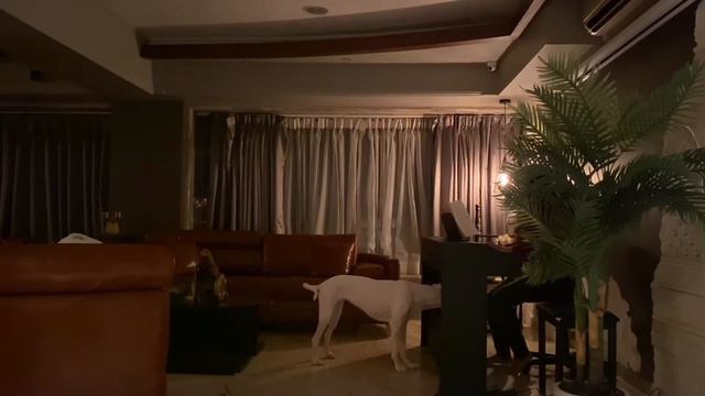 Fly Me To The Moon | A Whole New World - Piano Cover - Roland RP102 смотреть онлайн