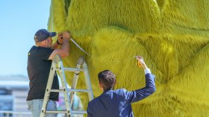 Югорчане вновь попали в Книгу рекордов России