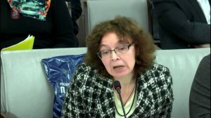 МГД, видео Николая Зубрилина: Савицкая Анастасия Владимировна, О сохранении оборонной промышленности