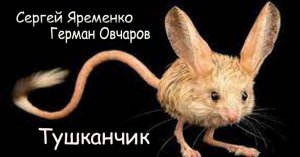 Песня "Тушканчик" исполняет автор Сергей Яременко