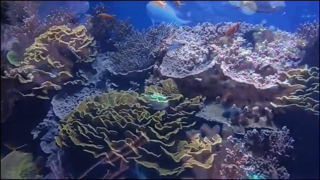 Целительная музыка на 639 Гц ♪ Наполнение организма энергией и прочищение чакр