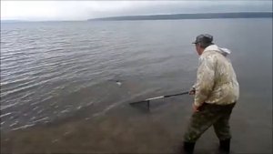 Рыбалка на Сурском водохранилище- Лещ на спиннинг- Ловля леща на донную снасть