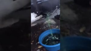 Консервация гидроцикла BRP перед зимой.
