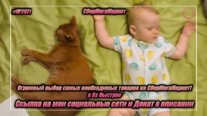 СберМегаМаркет — «Огромный автор самых необходимых товаров» в 8х быстрее | PRO Рекламу