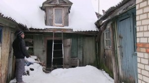 Голуби Ульяновска и Ульяновской области