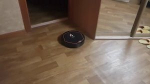 1 сезон 2 серия Говорящий робот пылесос Володя и Кот