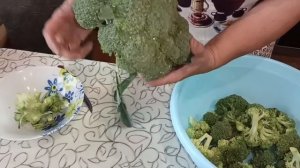 Правильно срезаем и замораживаем капусту брокколи. Собрали первый урожай.