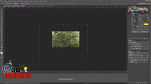 Pack 170 arboles HD en formato png Recursos Free para Renders