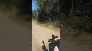 Ездил на Лиховской став на коляске с другом. ШейникС6