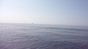 Крым посёлок Орджоникидзе . Ловля ставриды .