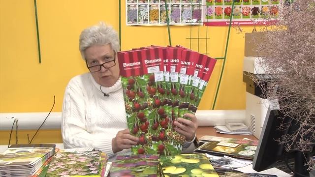 Голова садовая - Обзор вишни для посадки смотреть онлайн