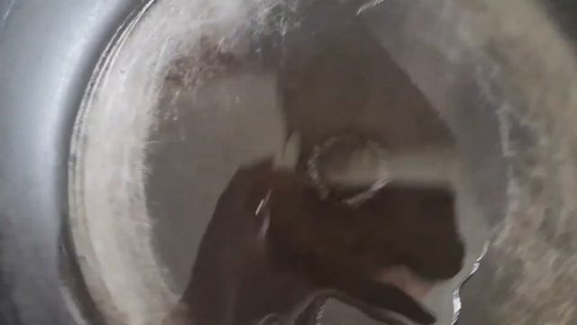 ВЛОГ | ТАРАКАНЫ Продаются! ЧИХАЮ На Него... Как Я Избегаю Аллергии На Амброзию? Кислое Молоко И Всё смотреть онлайн