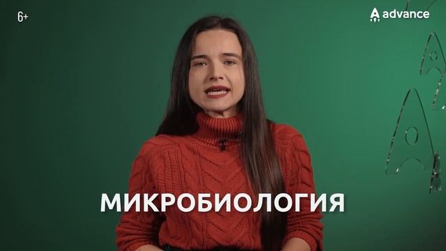 Как запоминать больше, чем позволяет память Простой способ запоминания последова