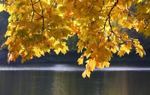 Всем Привет ? Добрый День