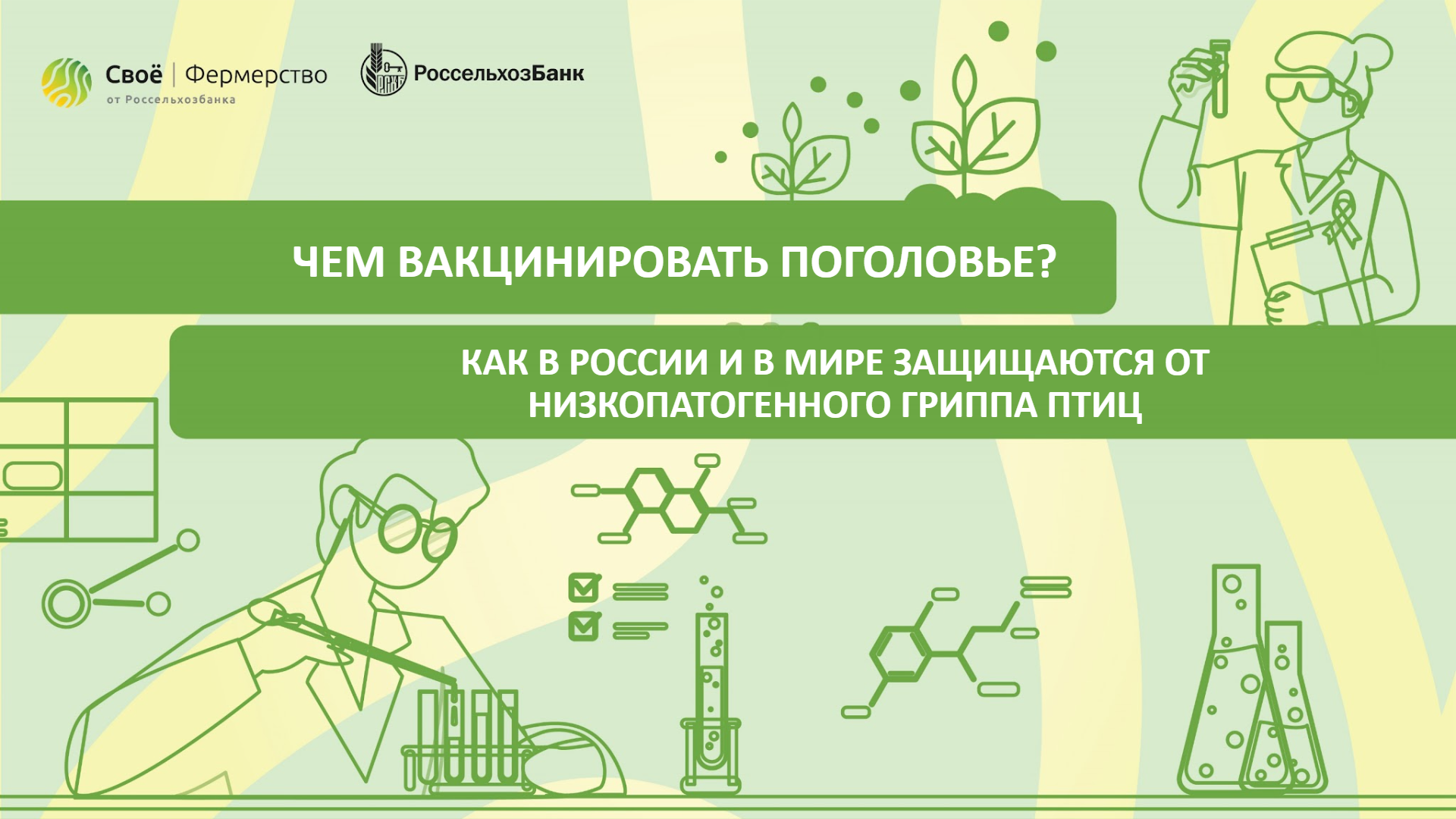 Чем вакцинировать поголовье? Как в России и в мире защищаются от низкопатогенного гриппа птиц