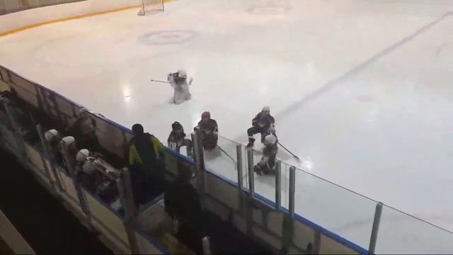 Стерх-Tappara2008(Финляндия)