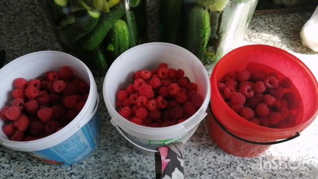 30.07-01.08.22 Влог-мой вкусный похудейский рацион-море грибов-солю огурцы-покупка продуктов-пою...