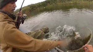 щука на Карповке 2