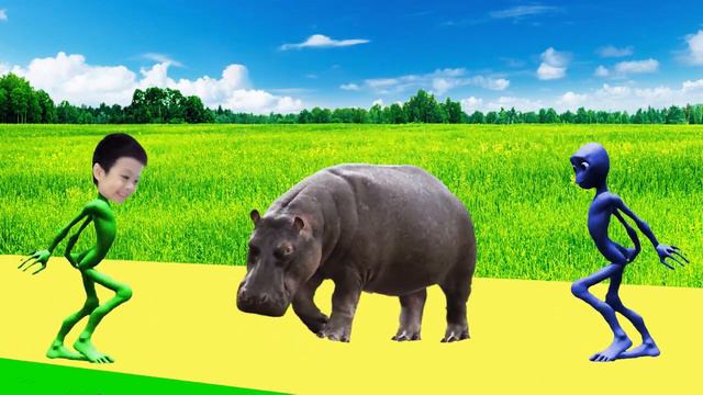 звуки животных для детей видео - картинки животных для детей | BonBi TV смотреть онлайн