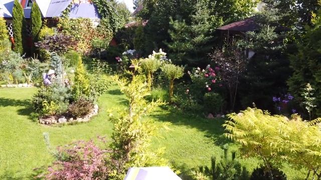 Поспевали яблоки и груши... )) смотреть онлайн