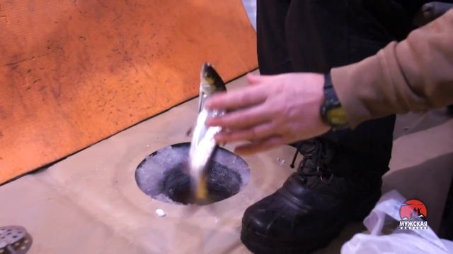 Ловля рипуса на Увильдах смотреть онлайн