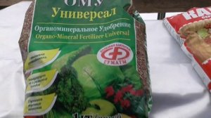 Что можно добавить в лунку при посадке томатов? Когда удобрения просто необходимы, а когда - нет.