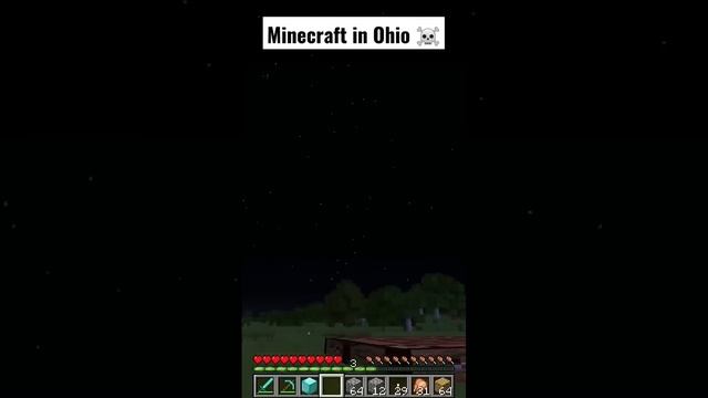 can't even play minecraft in Ohio ☠️ #shorts