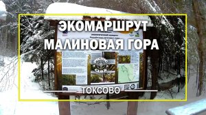 Экологический маршрут "Малиновая гора". Ленинградская область.