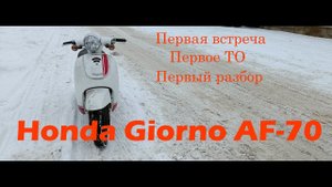 Ретро скутер Honda Giorno AF 70 Первая встреча, ТО, разбор пластика