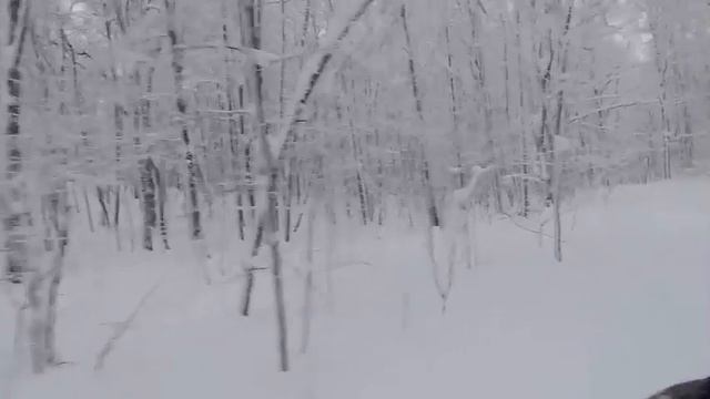 Заповедный край зимой смотреть онлайн