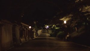 SONY FS5 II + Zenitar 50mm F0.95 - Low Light Test 4K