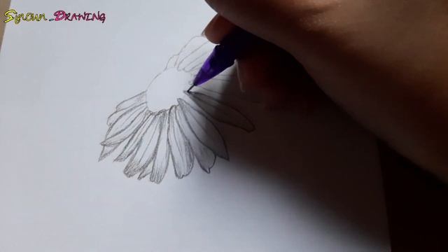 Daisy Flower Drawing -Pencil Sketch -Sinoun Drawing смотреть онлайн