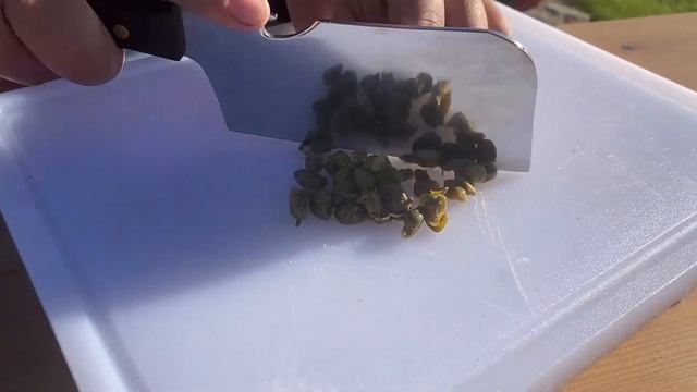 ?СИБАС ПРИГОТОВЛЕННЫЙ НА ГРИЛЕ. | ДОРАДА НА ОГНЕ.???